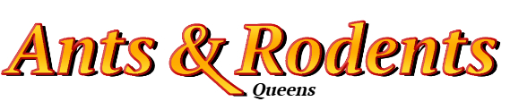 Queens Ant Exterminator & Rodent Control Company Logo